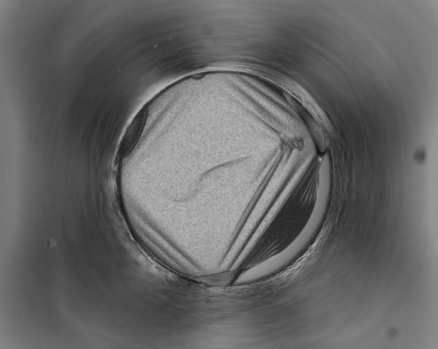 X0000099500908200806121413