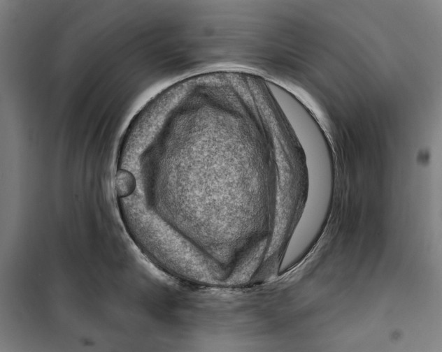 X0000099500910200806121412