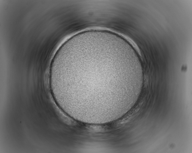 X0000099500911200806121412