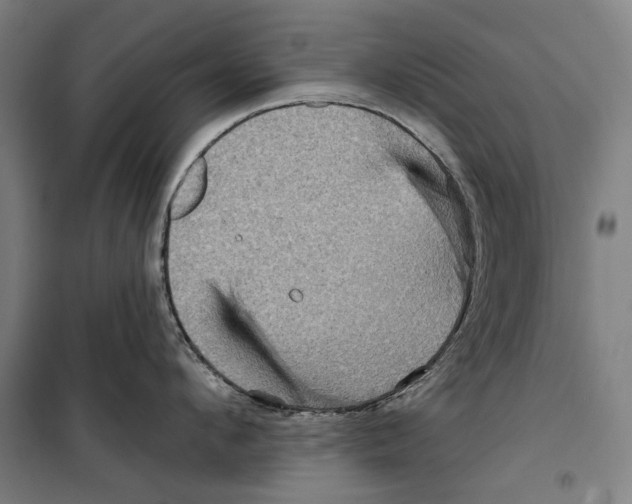 X0000099500912200806121412