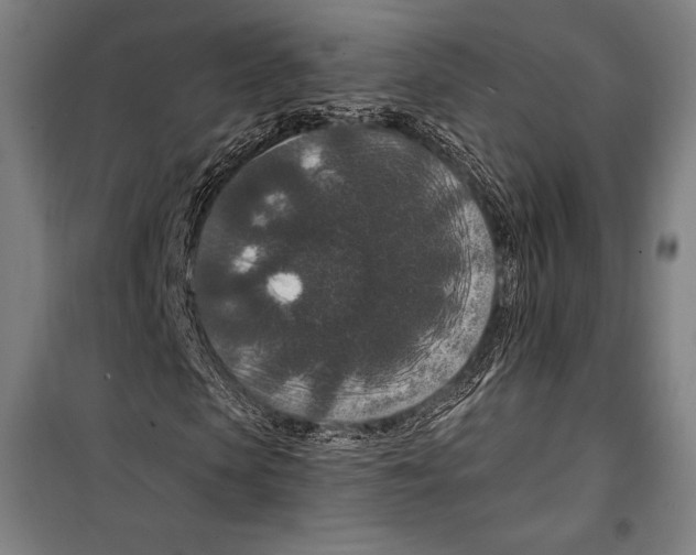 X0000099500913200806121412