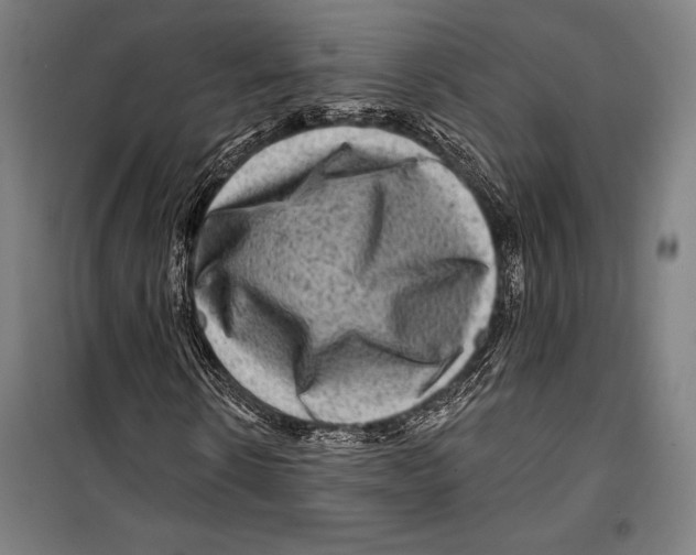 X0000099500914200806121412