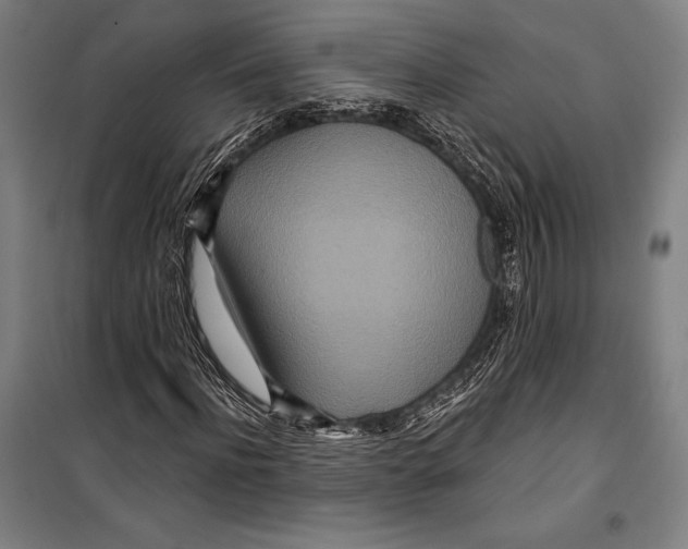 X0000099500916200806121412