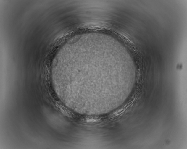 X0000099500917200806121412