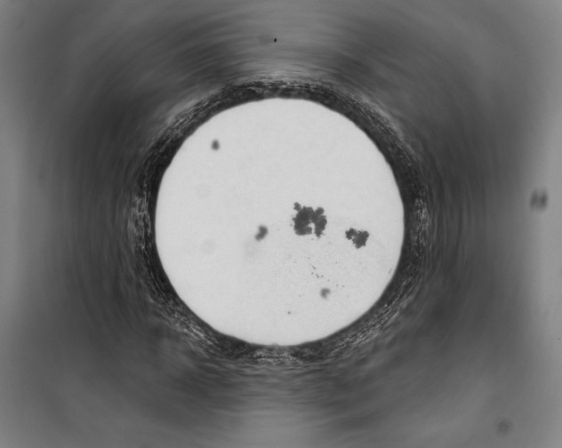 X0000099500918200806121412