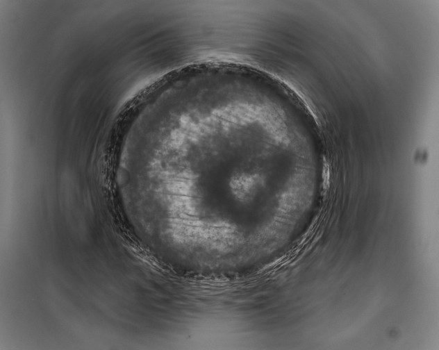 X0000099500919200806121412