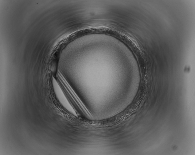 X0000099500920200806121412