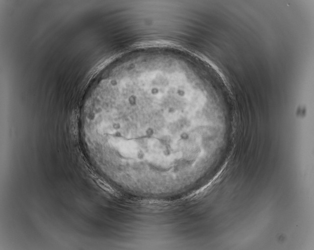 X0000099500921200806121412