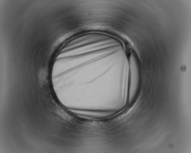 X0000099500922200806121412