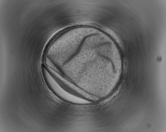 X0000099500924200806121412