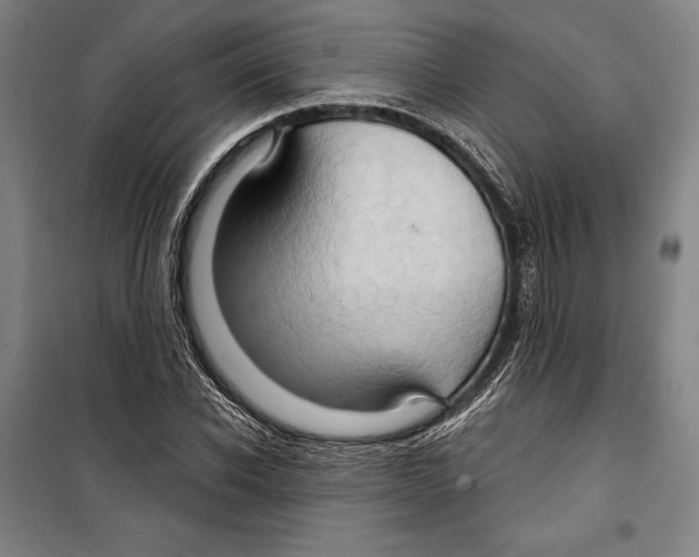 X0000099500926200806121412