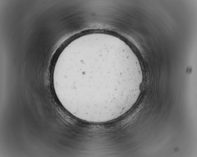 X0000099500927200806121412