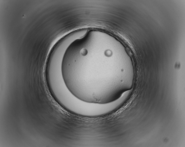 X0000099500928200806121412