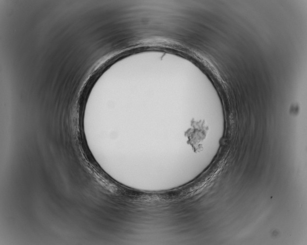 X0000099500931200806121412