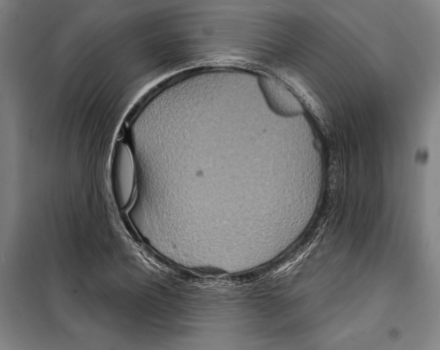 X0000099500932200806121412