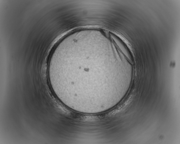 X0000099500933200806121412