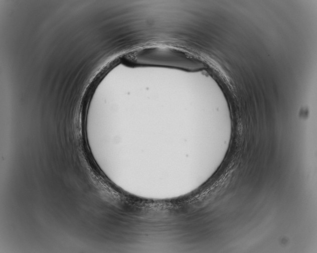 X0000099500934200806121412