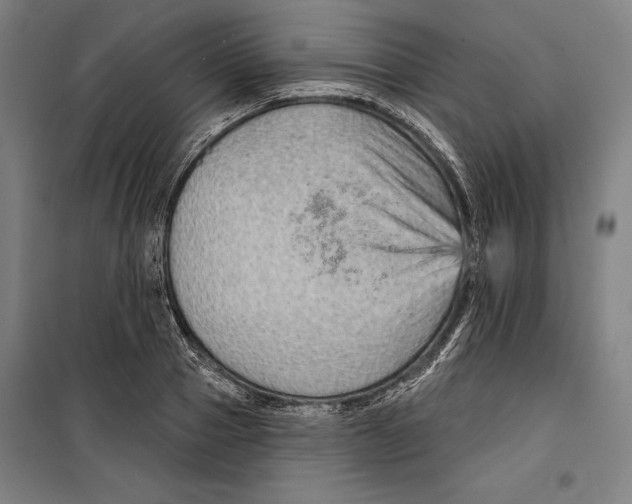 X0000099500937200806121412