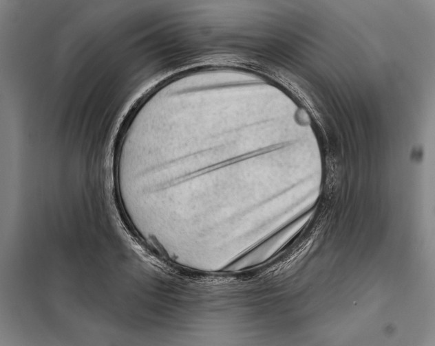 X0000099500939200806121412