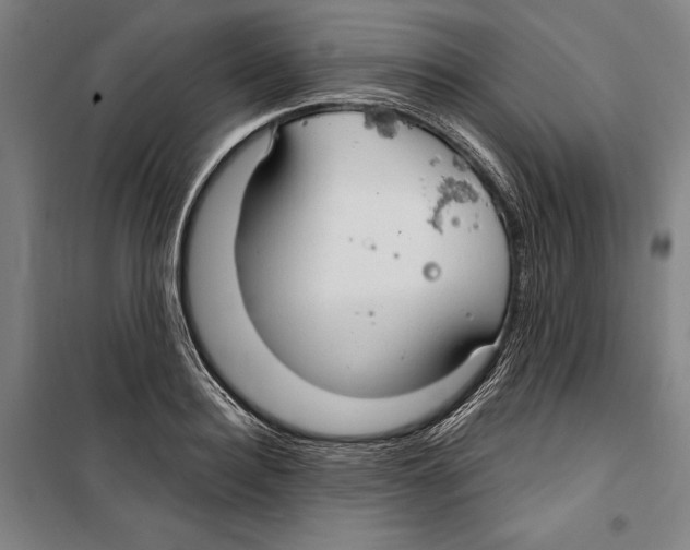 X0000099500940200806121412