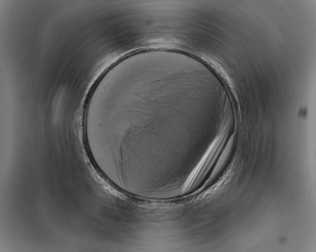 X0000099500941200806121412