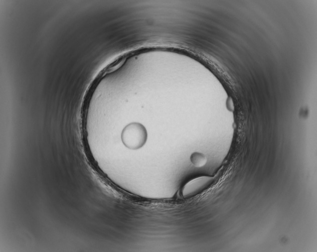 X0000099500942200806121412