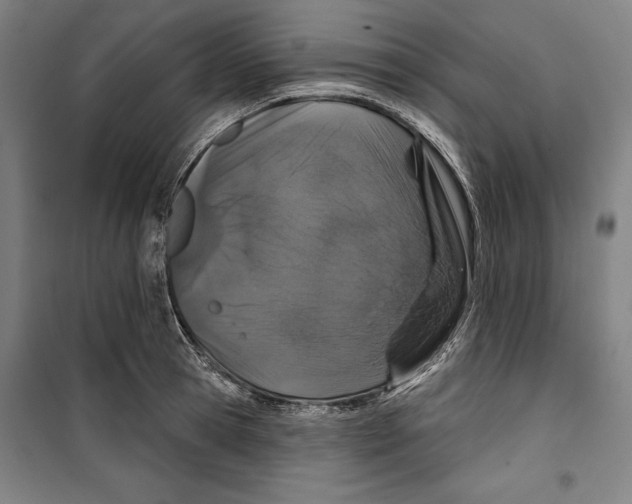 X0000099500945200806121412