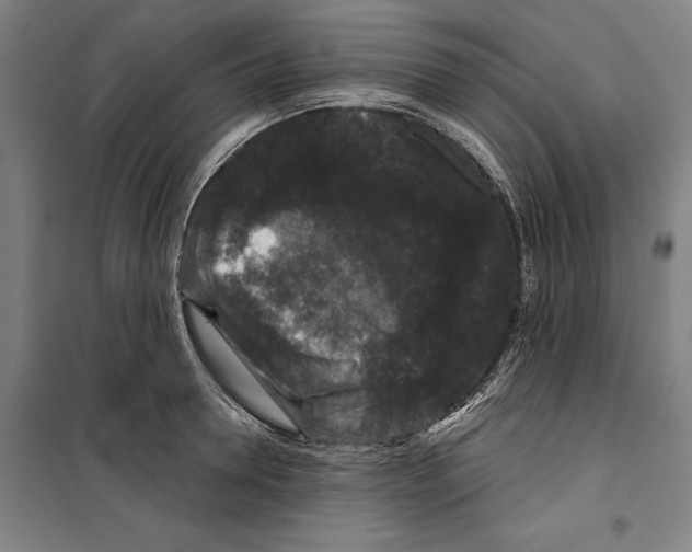 X0000099500946200806121412