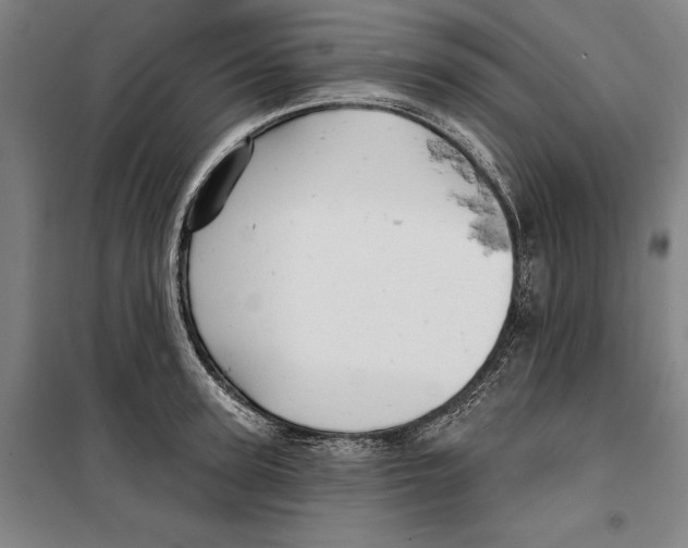 X0000099500947200806121412