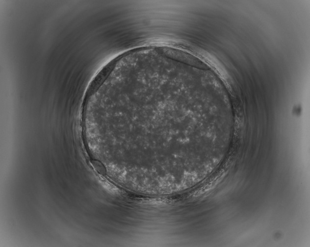 X0000099500948200806121412