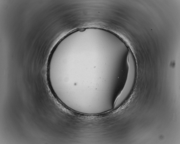 X0000099500949200806121412