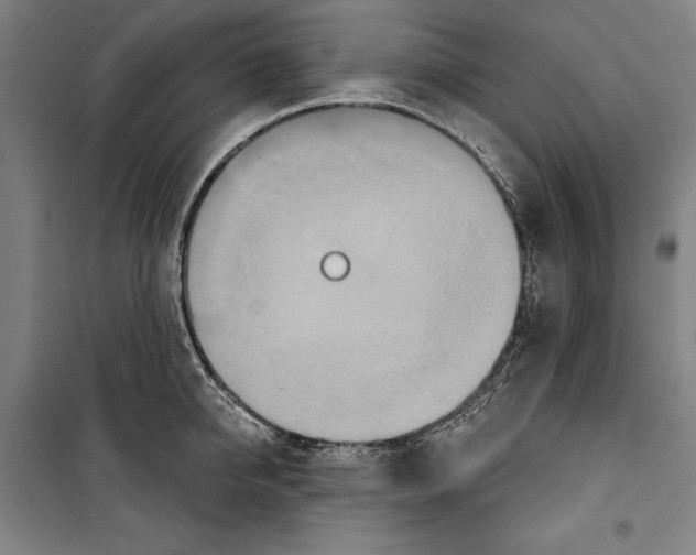 X0000099500950200806121412