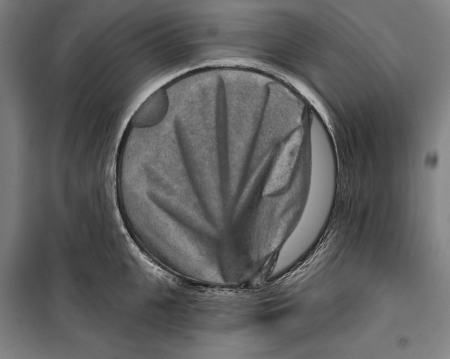 X0000099500951200806121412