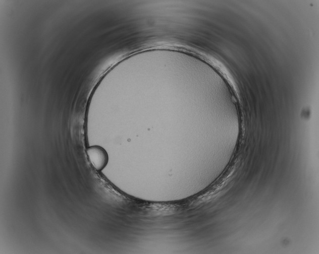 X0000099500954200806121412