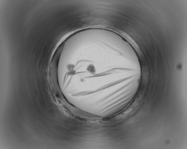 X0000099500956200806121412