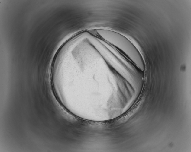 X0000099500957200806121412