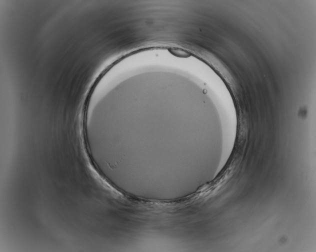 X0000099500958200806121412