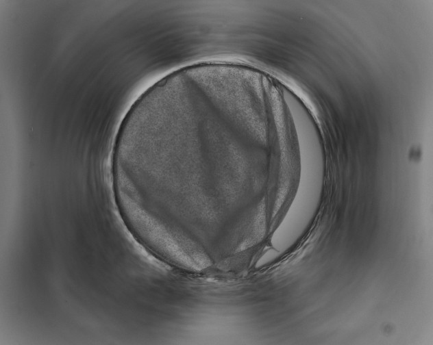 X0000099500959200806121412