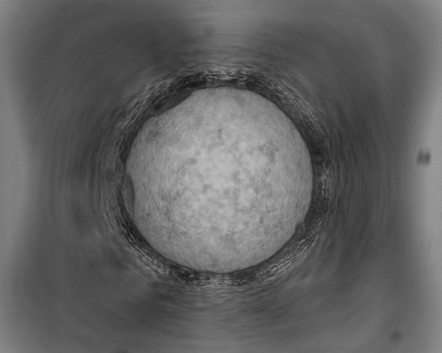 X0000099500961200806121412