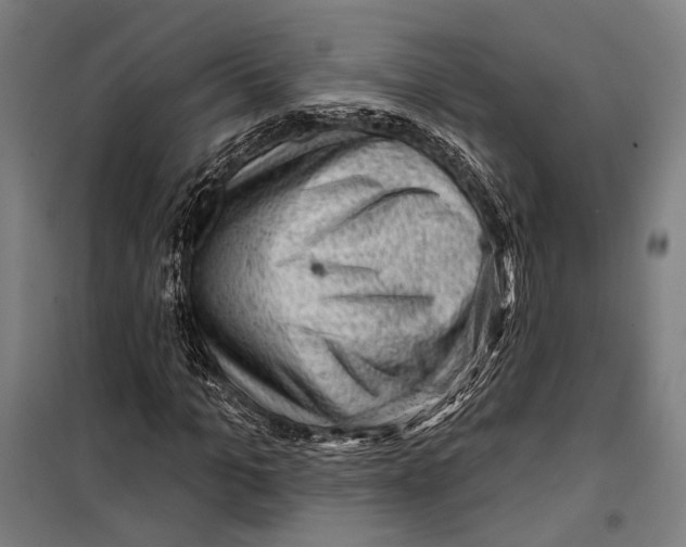 X0000099500965200806121412