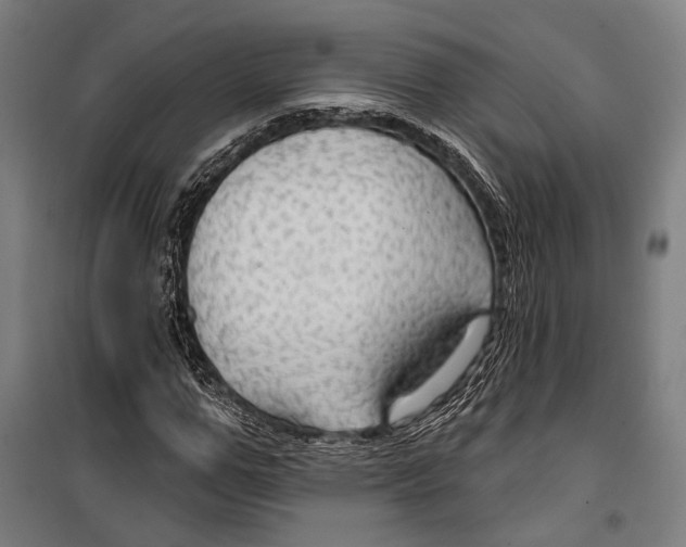 X0000099500967200806121412