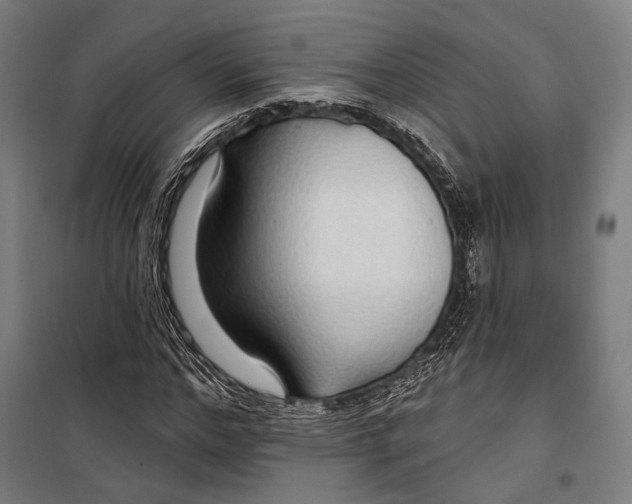 X0000099500968200806121412