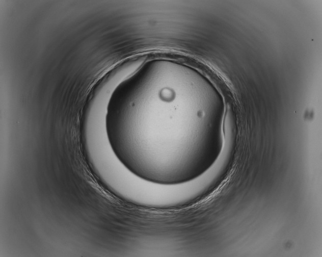 X0000099500969200806121412