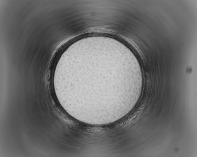 X0000099500971200806121412