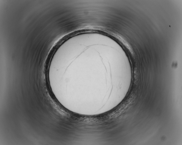 X0000099500972200806121412