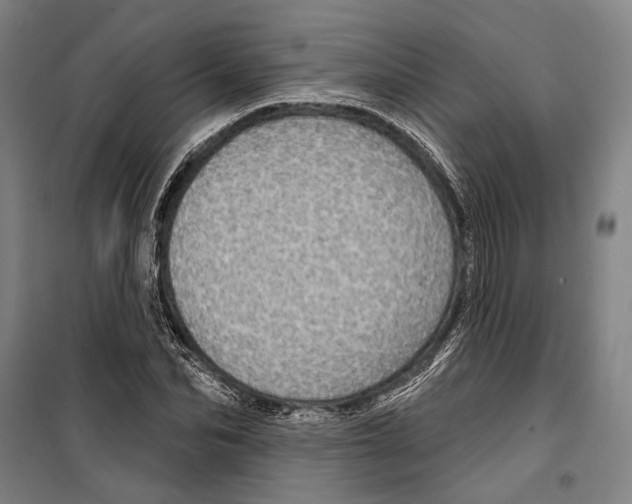 X0000099500974200806121412