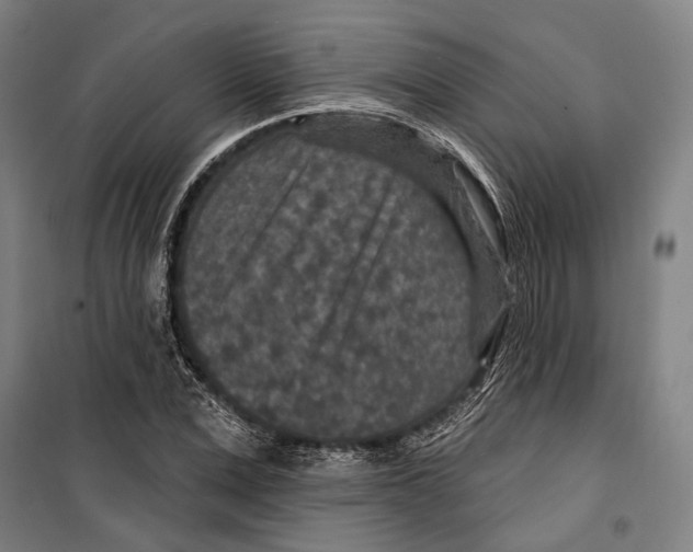 X0000099500975200806121411