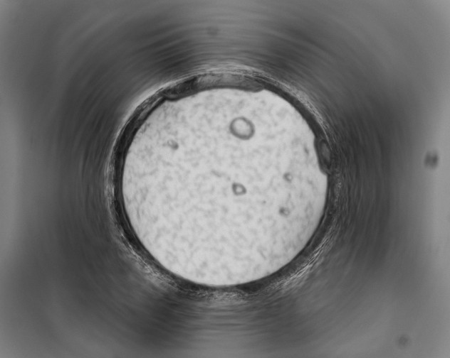 X0000099500979200806121411