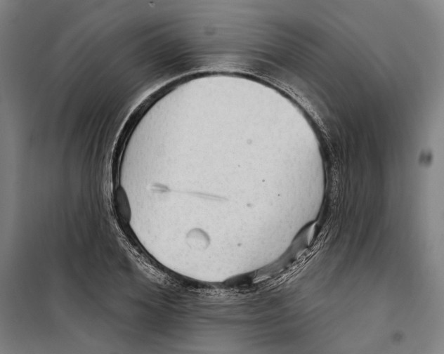 X0000099500980200806121411