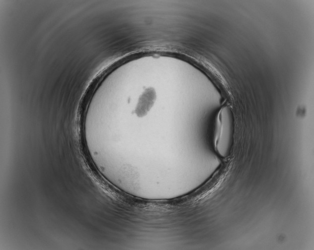 X0000099500981200806121411